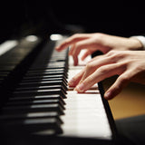 Bosse School of Music | Private Lessons | 30 Minutes | 20 Weeks [Download]