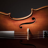 Bosse School of Music | Private Lessons | 30 Minutes | 20 Weeks [Download]